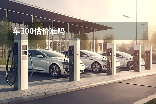车300估价准吗
