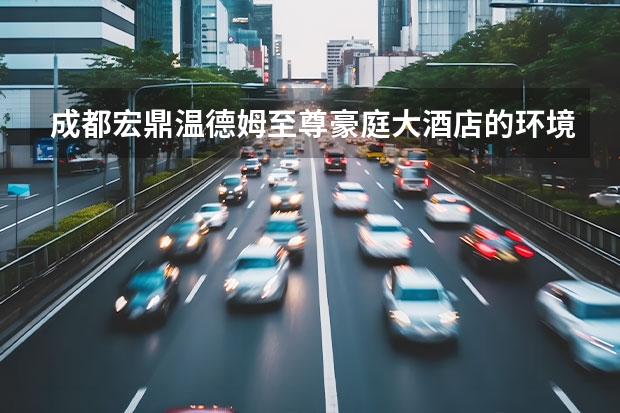 成都宏鼎温德姆至尊豪庭大酒店的环境如何？