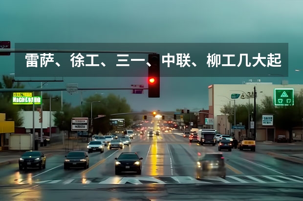 雷萨、徐工、三一、中联、柳工几大起重机品牌,各有什么优缺点?_百度...
