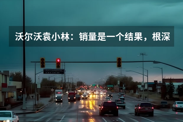 沃尔沃袁小林：销量是一个结果，根深才能叶茂