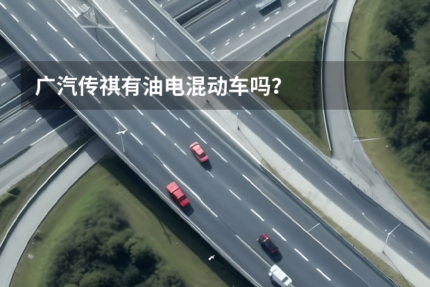 广汽传祺有油电混动车吗？
