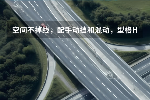 空间不掉线，配手动挡和混动，型格HATCHBACK香吗？