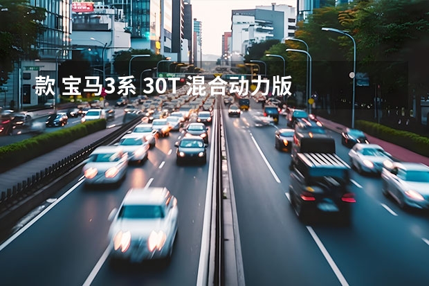 款 宝马3系 3.0T 混合动力版 混动 混合动力 3万公里保养项目价格 款 宝马3系 ActiveHybrid 3 混动 混合动力 4万公里保养项目费用