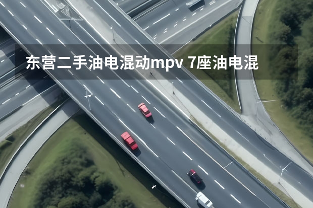 东营二手油电混动mpv 7座油电混合动力mpv