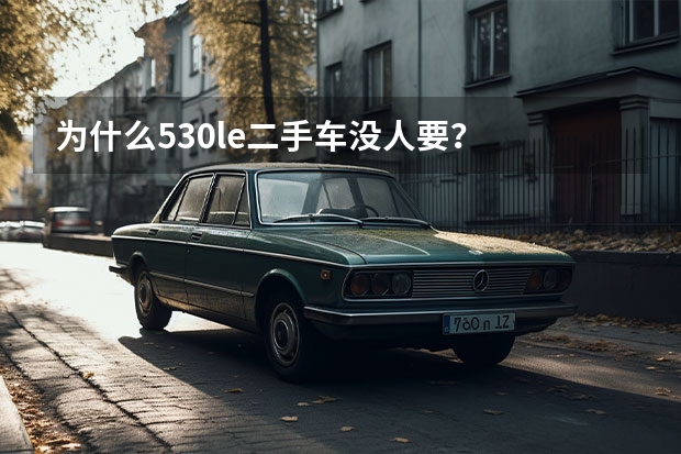 为什么530le二手车没人要？