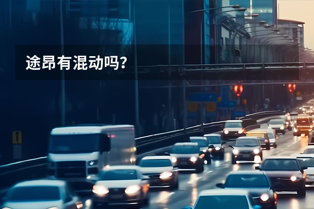 途昂有混动吗？