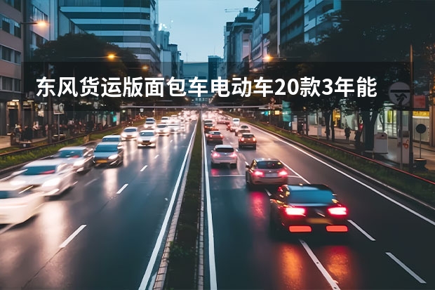 东风货运版面包车电动车20款3年能卖多少