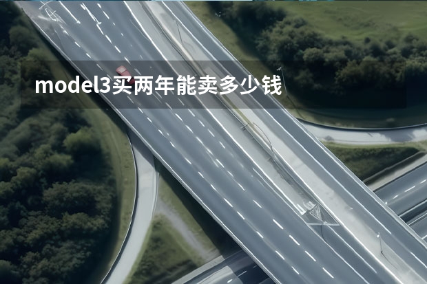 model3买两年能卖多少钱
