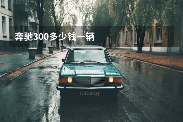奔驰300多少钱一辆