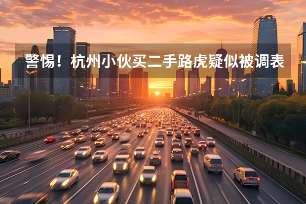 警惕！杭州小伙买二手路虎疑似被调表，买二手车如何闭“坑”？