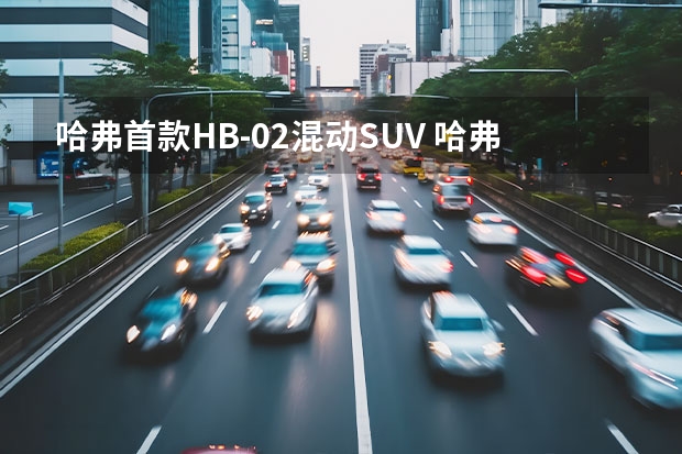 哈弗首款HB-02混动SUV 哈弗枭龙MAX车主，一万公里使用心得分享