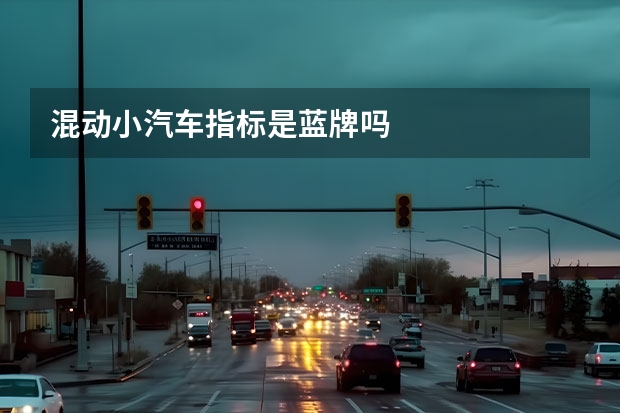 混动小汽车指标是蓝牌吗