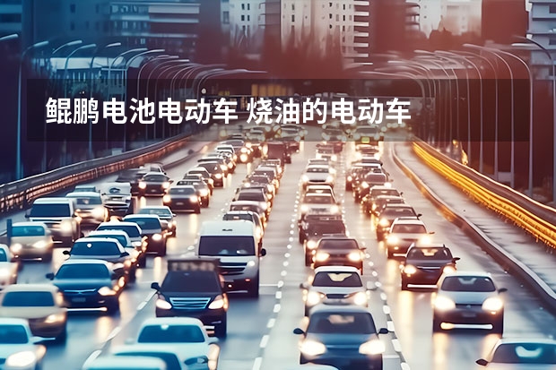 鲲鹏电池电动车 烧油的电动车