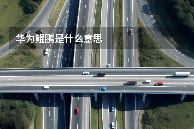 华为鲲鹏是什么意思