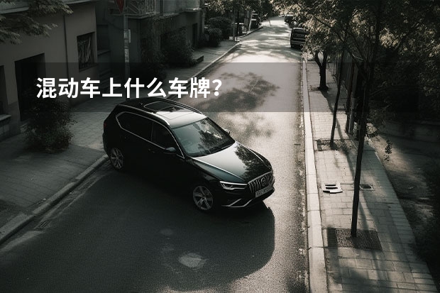 混动车上什么车牌？