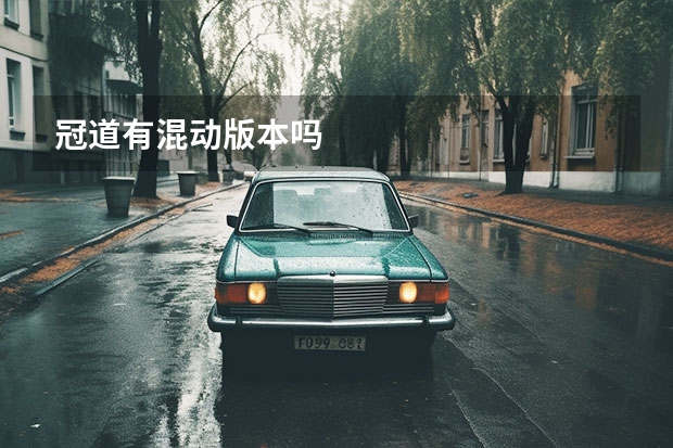 冠道有混动版本吗