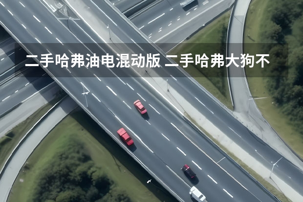 二手哈弗油电混动版 二手哈弗大狗不到8万拿走，贵4万能买2.0T，该买谁？