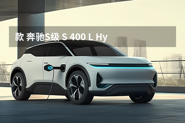 款 奔驰S级 S 400 L Hybrid 混动 18万公里保养项目多少钱