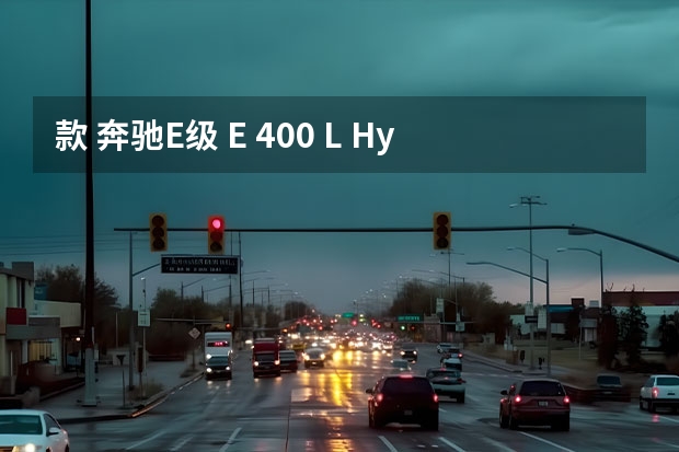 款 奔驰E级 E 400 L Hybrid 轿车 混动版 13万公里保养项目多少钱