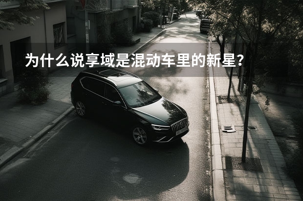 为什么说享域是混动车里的新星？