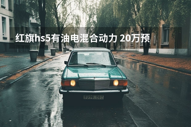 红旗hs5有油电混合动力 20万预算，是买红旗HS5还是本田的CRV？