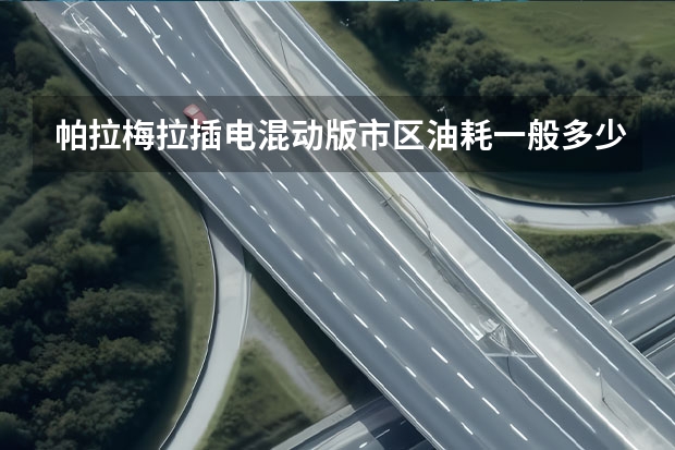 帕拉梅拉插电混动版市区油耗一般多少？