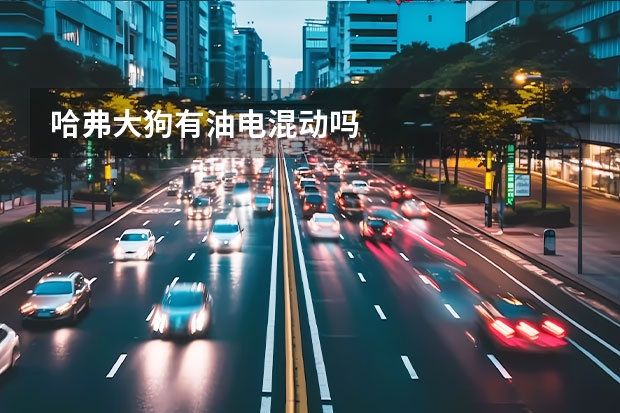 哈弗大狗有油电混动吗