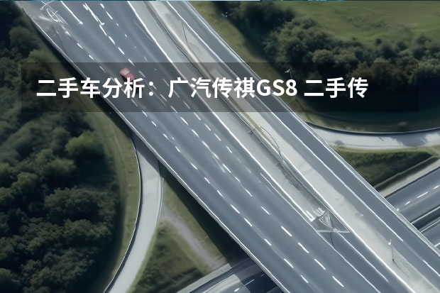 二手车分析：广汽传祺GS8 二手传祺gs8报价