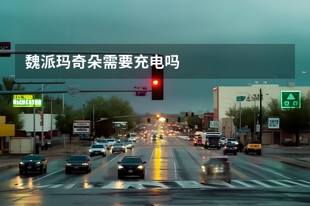 魏派玛奇朵需要充电吗