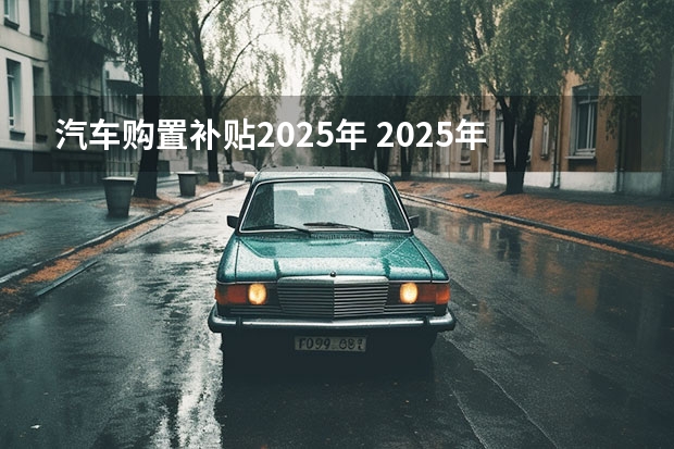 汽车购置补贴2025年 2025年买车政府还会不会有补贴
