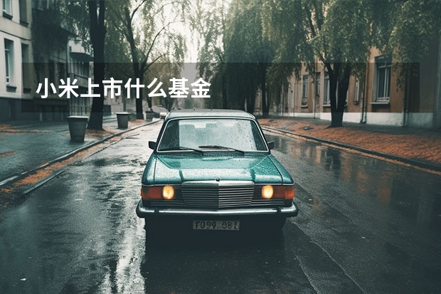 小米上市什么基金