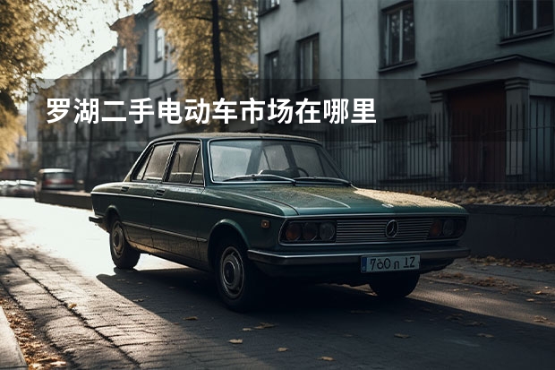 罗湖二手电动车市场在哪里
