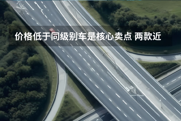 价格低于同级别车是核心卖点 两款近期上市全新电动车盘点 多家车企布局纯电动车