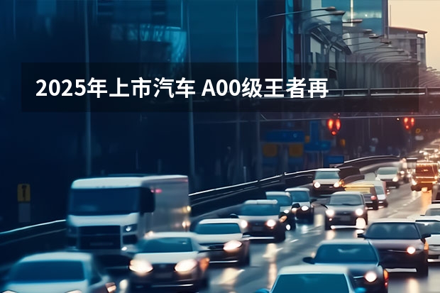 2025年上市汽车 A00级王者再升级，2025款海鸥上市