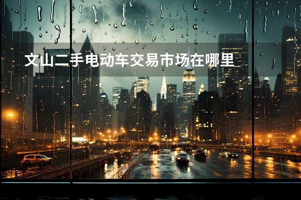 文山二手电动车交易市场在哪里