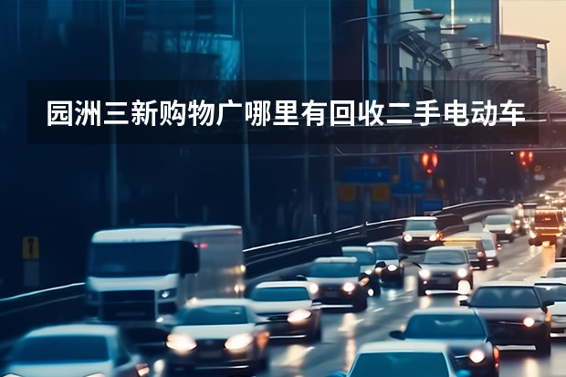 园洲三新购物广哪里有回收二手电动车的