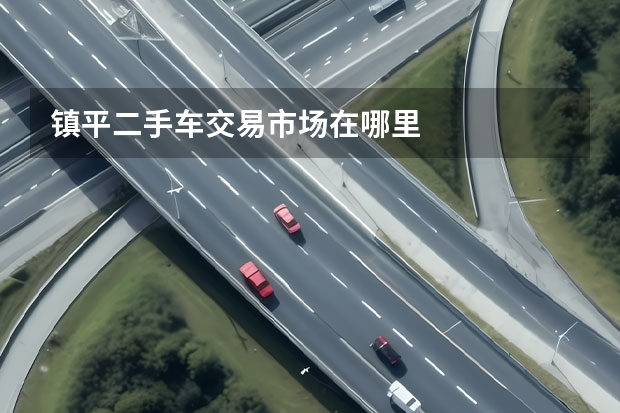 镇平二手车交易市场在哪里