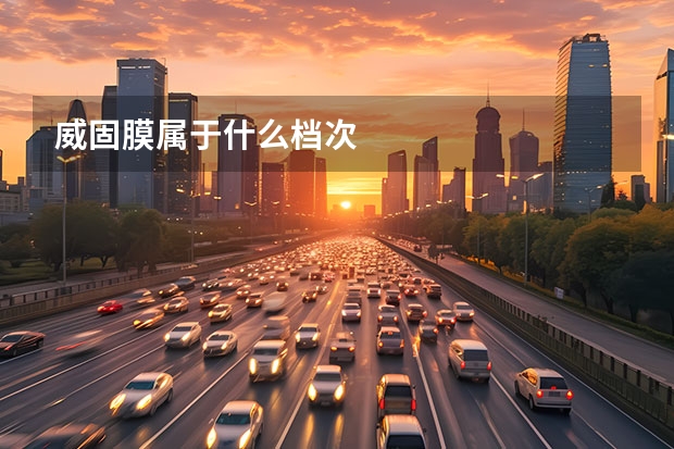 威固膜属于什么档次