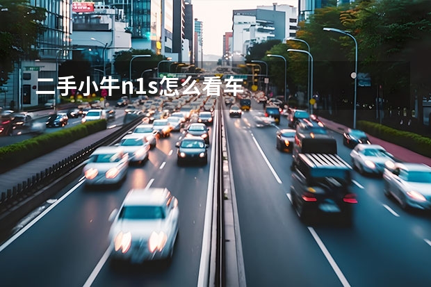 二手小牛n1s怎么看车
