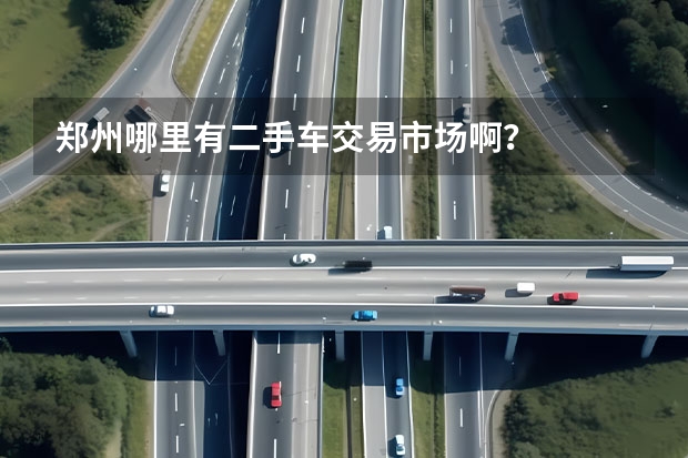 郑州哪里有二手车交易市场啊？