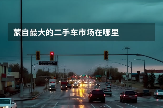 蒙自最大的二手车市场在哪里