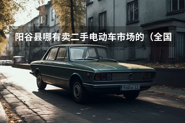 阳谷县哪有卖二手电动车市场的（全国最大的二手车交易市场在哪）
