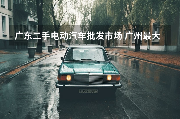 广东二手电动汽车批发市场 广州最大的二手车交易市场在那里