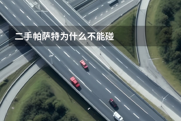 二手帕萨特为什么不能碰