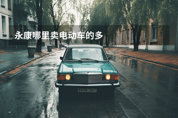永康哪里卖电动车的多