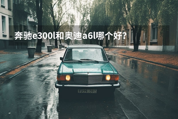 奔驰e300l和奥迪a6l哪个好？