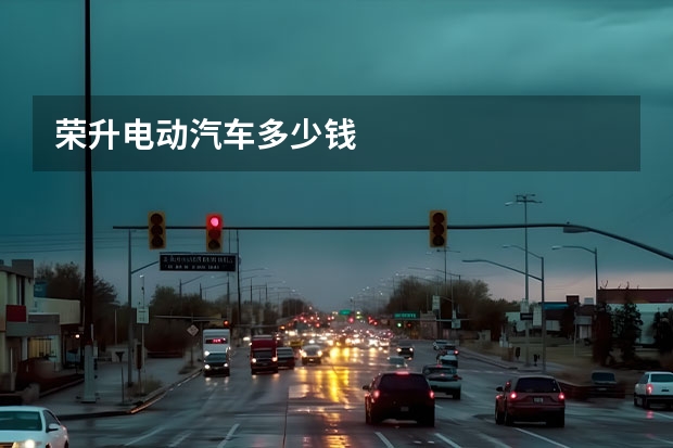 荣升电动汽车多少钱