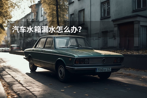 汽车水箱漏水怎么办？