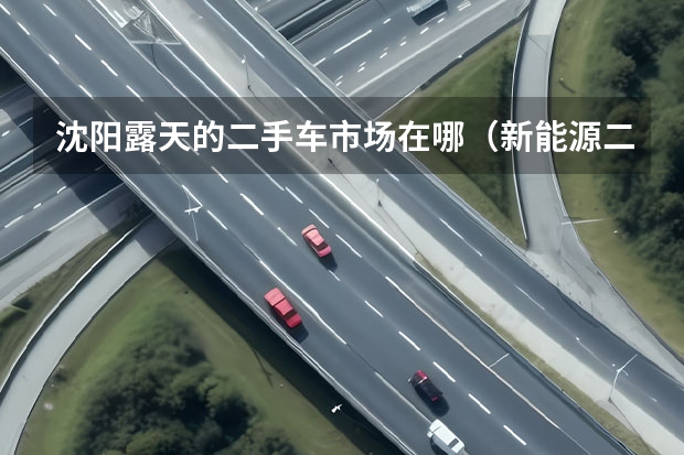 沈阳露天的二手车市场在哪（新能源二手车3万以内）