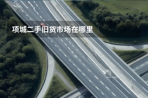 项城二手旧货市场在哪里